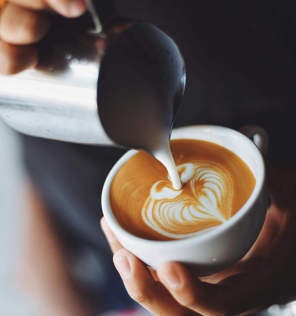 BrewSafari Milk Pitcher – 600ml Edition